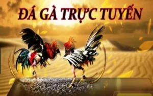 Bí Quyết Chinh Phục Đá Gà GA28 Tại 789WIN: Kinh Nghiệm Thực Chiến