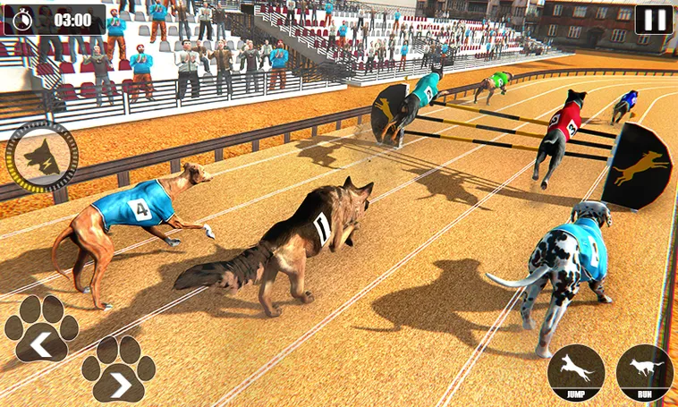 Bí Quyết Chinh Phục Đua Chó Nhanh Tại 789WIN: Kinh Nghiệm Thực Chiến 2 Bí Quyết Chinh Phục Đua Chó Nhanh Tại 789WIN: Kinh Nghiệm Thực Chiến