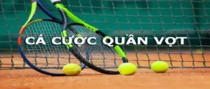 Tìm Hiểu Cá Cược Quần Vợt 789WIN - Kinh Nghiệm Từ Cao Thủ